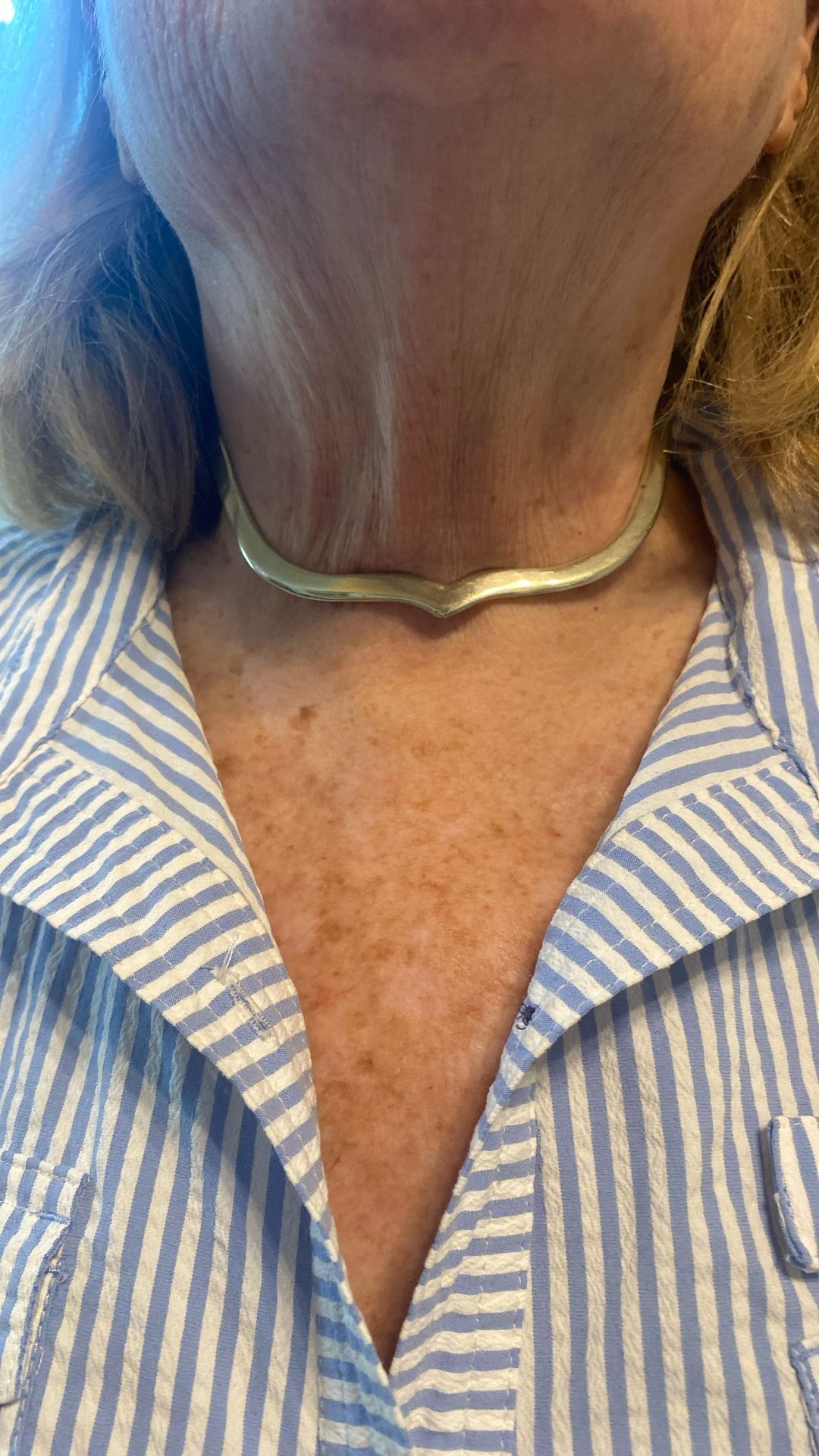 Alpaca Silver Choker #3