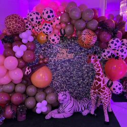 Party Theme Decoration 