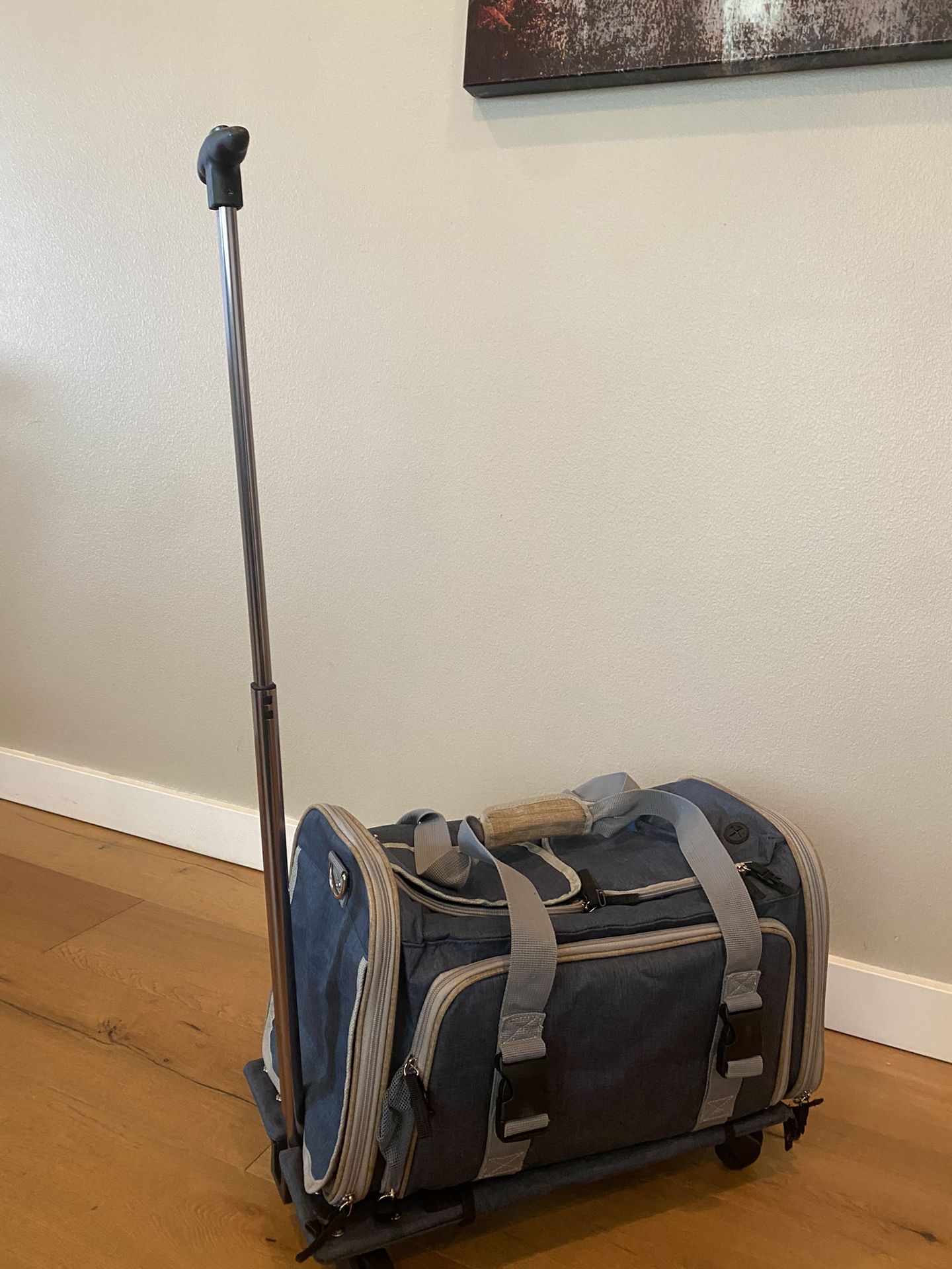 Rolling Dog Cat Carrier