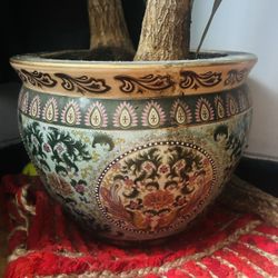 Handmade Antique Vase And A plant