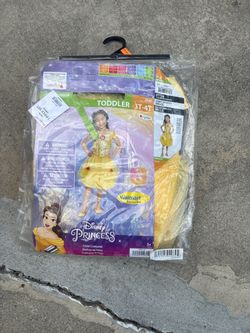 Disney princess costume