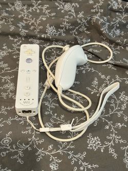Wii Remote (with MotionPlus) and Nunchuck