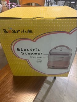 Bear Electric Steamer