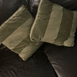 Nice feather throw down pillows