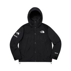 SS19 Supreme The north face arc Logo Mountain Parka XL