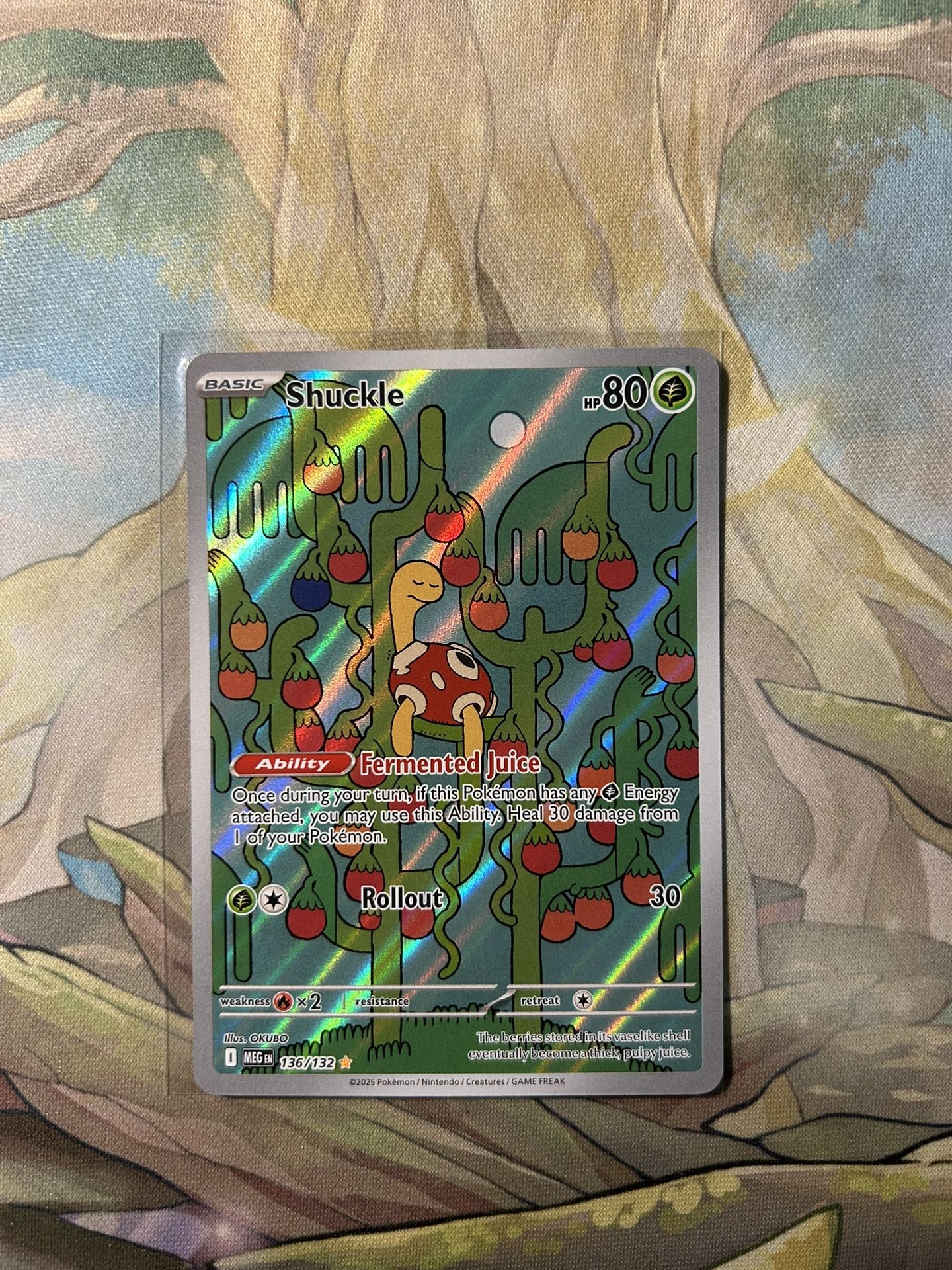 Pokemon Shuckle IR Mega Evolution 