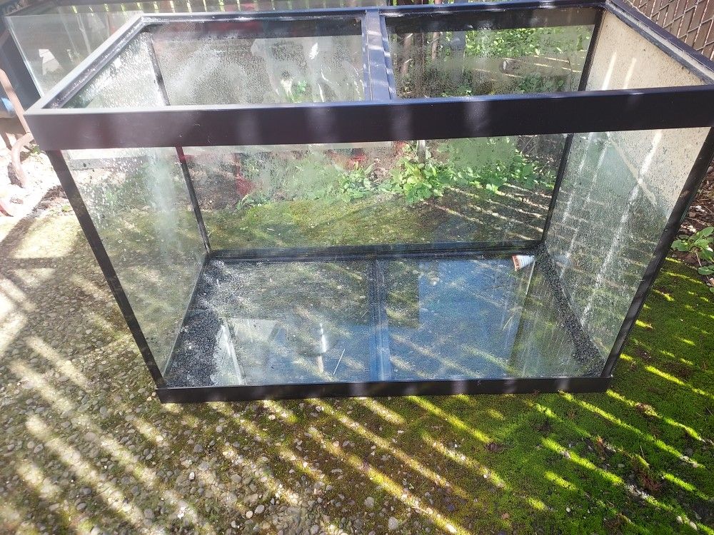 Fish Tank