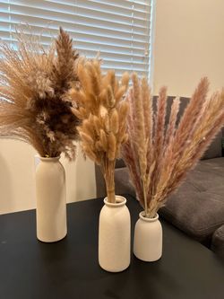 100 PCS of Dried Pampas Grass with Ceramic Vases Set of 3