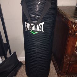 Everlasting Hanging Hewvy BAG 