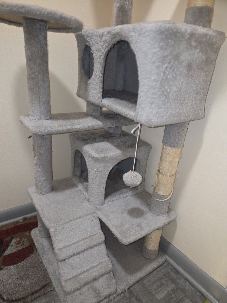Cat Tree In Fair Condition Asking 40 Or Best Offer