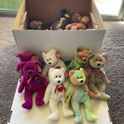 Beanie Baby Bear Collection 