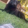 Padrino_67