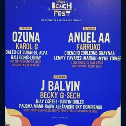 Baja beach Fest VIP Ticket 