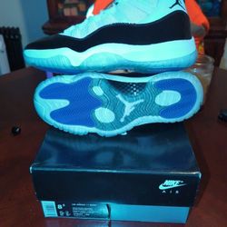 Jordan Retro ( Concord) 11