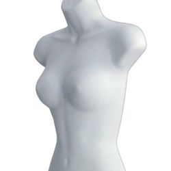 Female torso