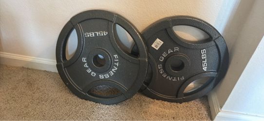 Fitness Gear 45 lb Olympic Weight Plates (Pair)