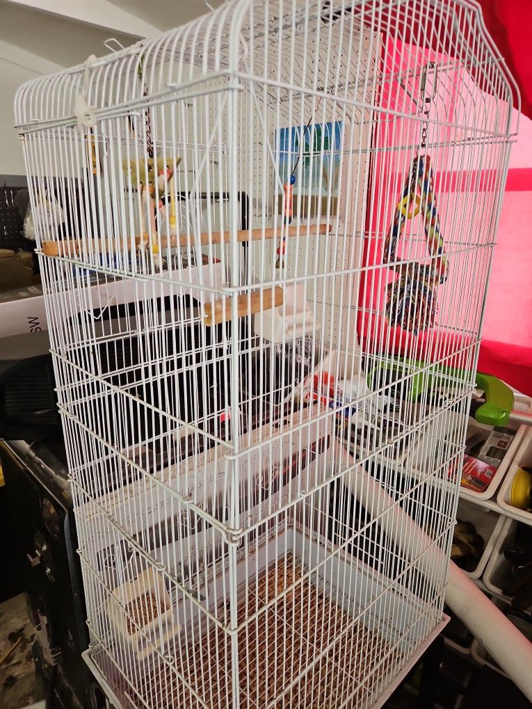 White Bird Cage With Bird Accessories Including Food And Treats