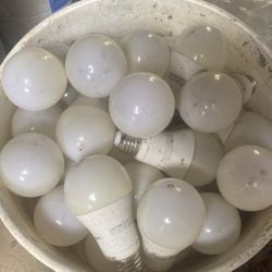 Led Outdoor 15w 1650lumerns 5000k Light Buld 