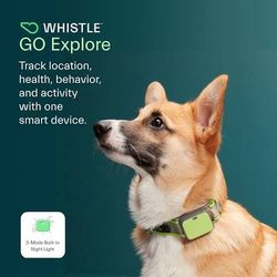 Whistle Go pet location and health GPS tracker