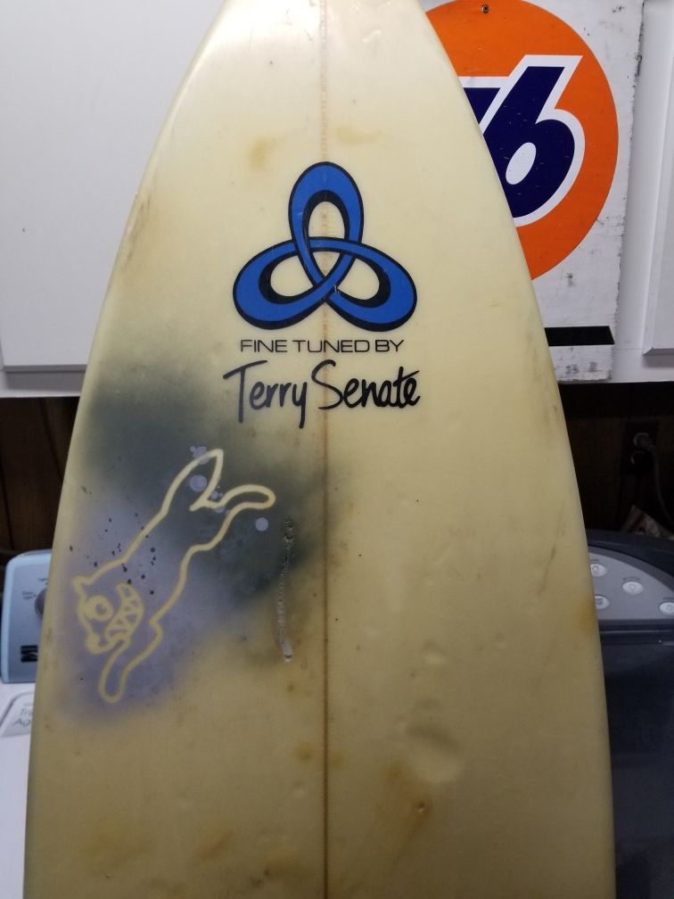 Terry 2024 senate surfboards
