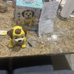 Exquisete Dog Robot- 3+ Remote Controlled