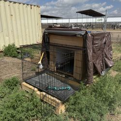 Large Dog House With Crate And House On Large Pallet 