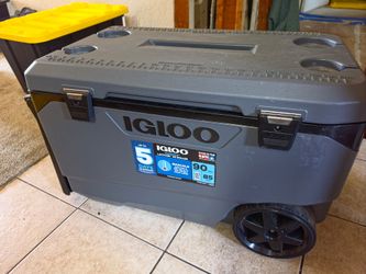 Igloo cooler