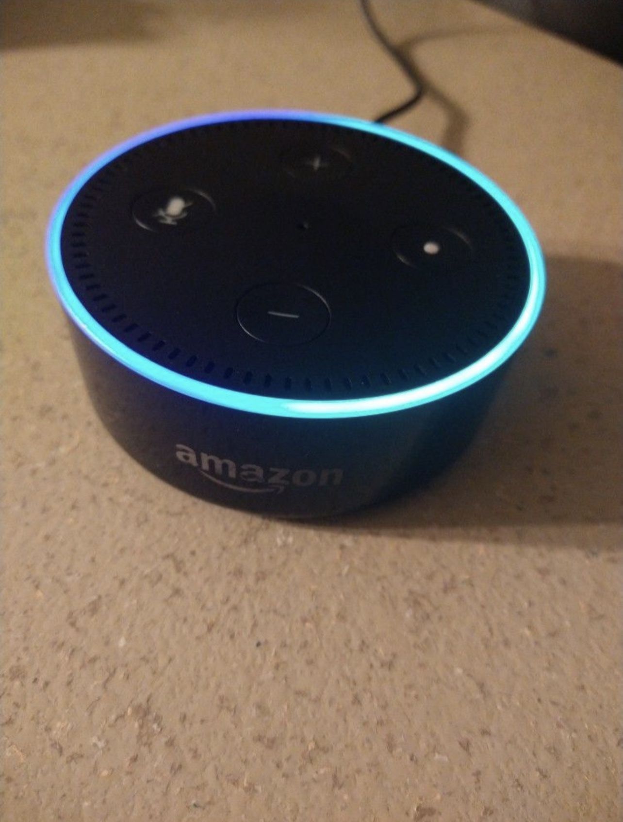 Echo Dog
