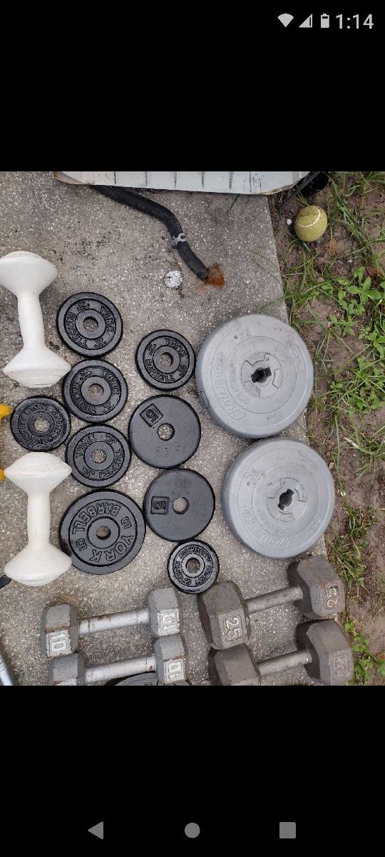 Dumbbell plates Over 150 + Pounds + Bench.