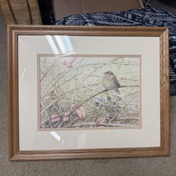 Bird Picture