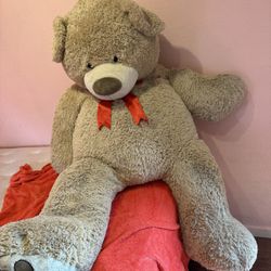 Giant teddy 
