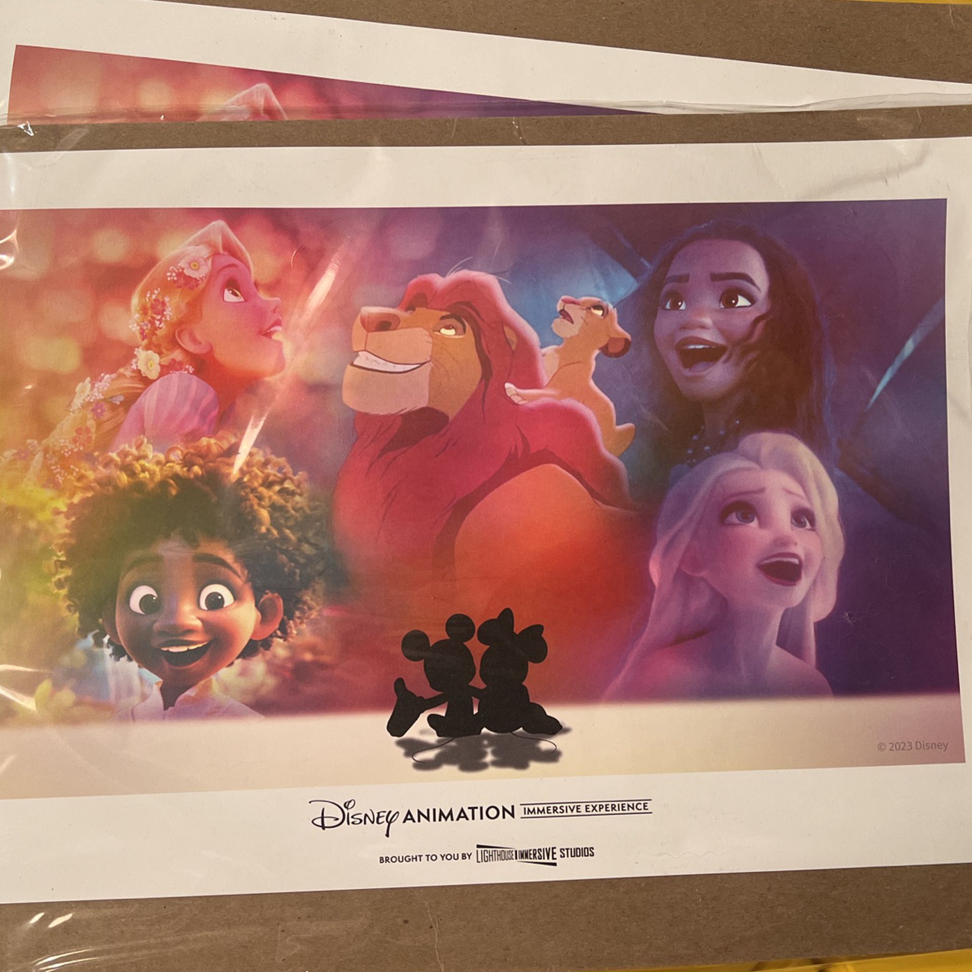 Disney Animation Immersive Experience Poster 