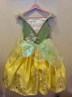 Princess Tiana and Elsa Costumes