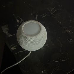 Apple Home Speaker