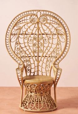 BEAUTIFUL 🤩 PEACOCK CHAIR