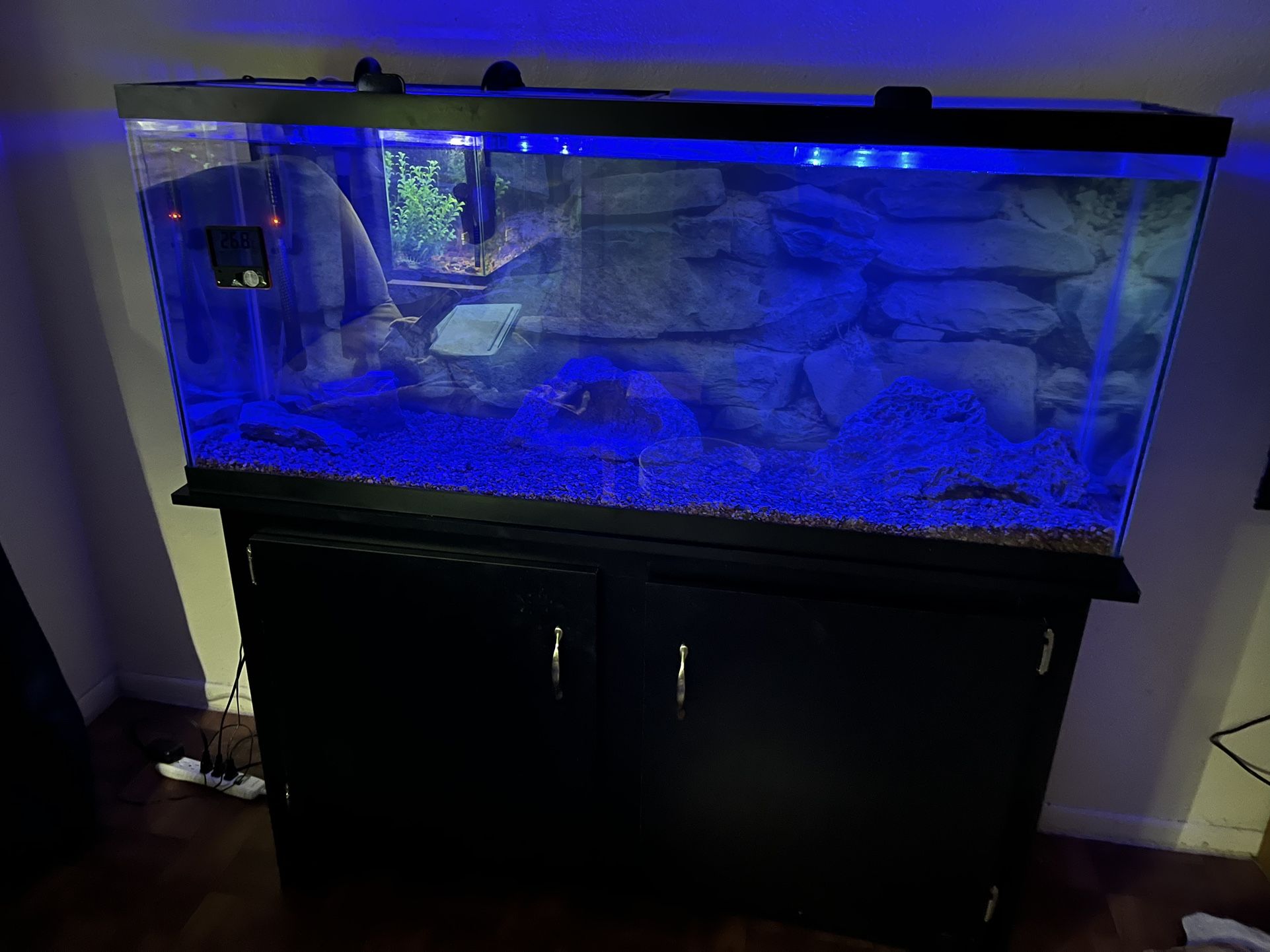 Fish Tank for Sale in Phoenix, AZ OfferUp