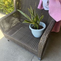 Wicker Bench OBO