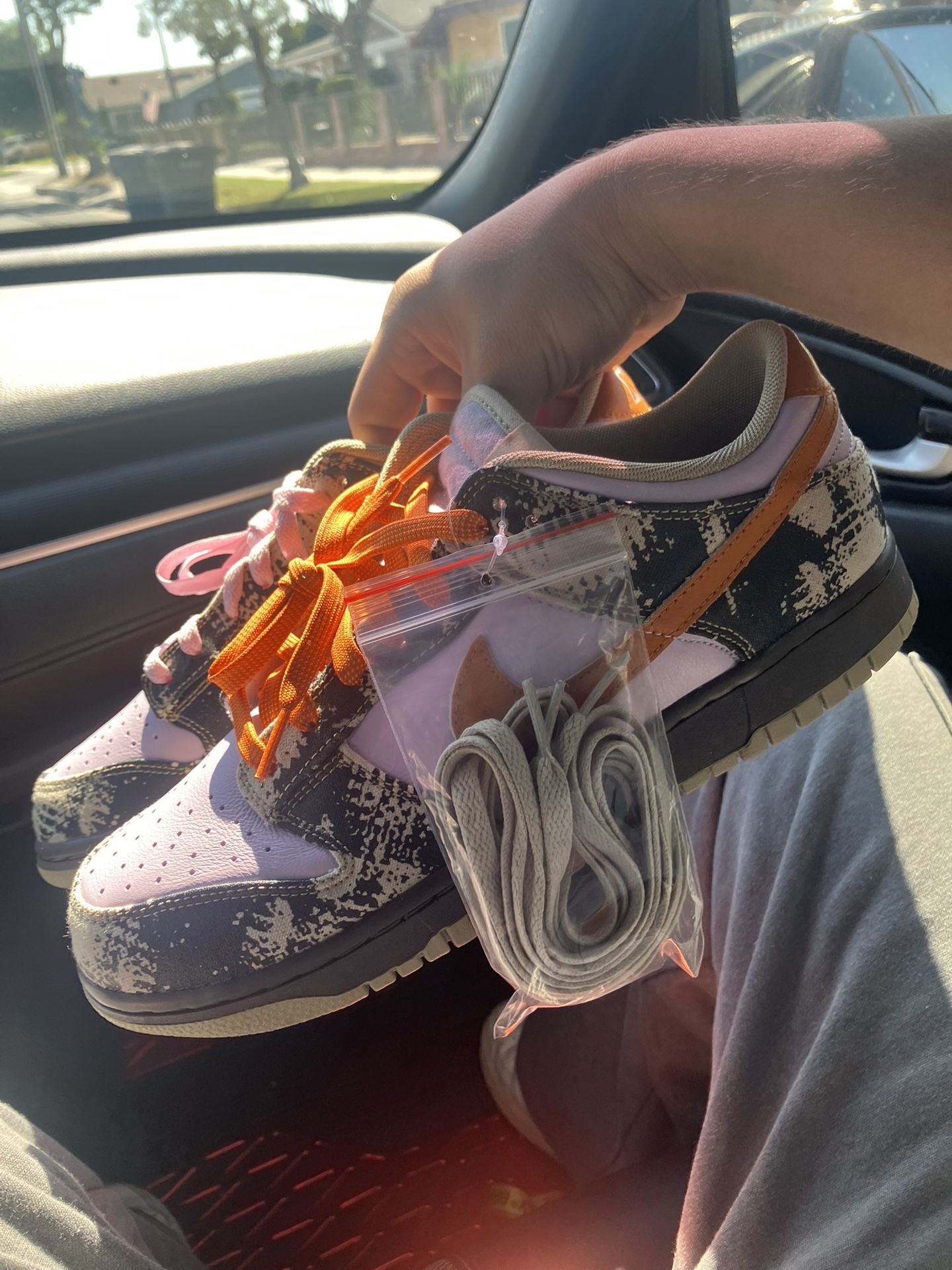 Nike Dunks 9.5M