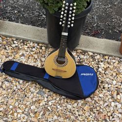Vintage Mandolin 12 String.  