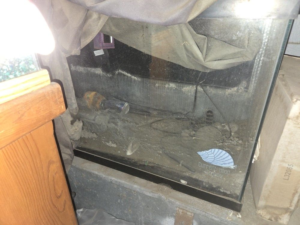 55 gallon reptile tank