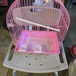 Birds Cage 
