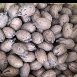 Pecans 