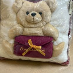 NEW graduation-themed teddy bear pillow