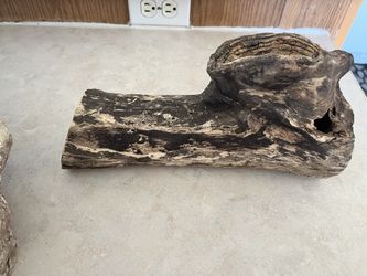 Log For Small Reptiles