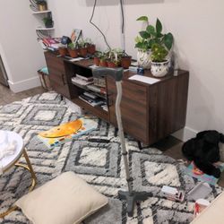 Walking Stick . Adjustable Height