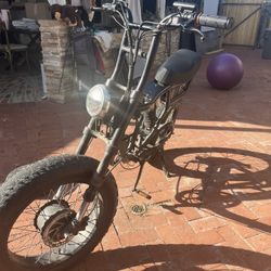 Echo 750 Watt Street Legal Ebike 