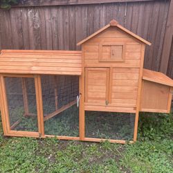 Chicken/Rabbit Hutch 