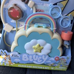 Bluey Toy 