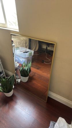 Mirror