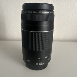 Canon EF 75-300mm Zoom Lens
